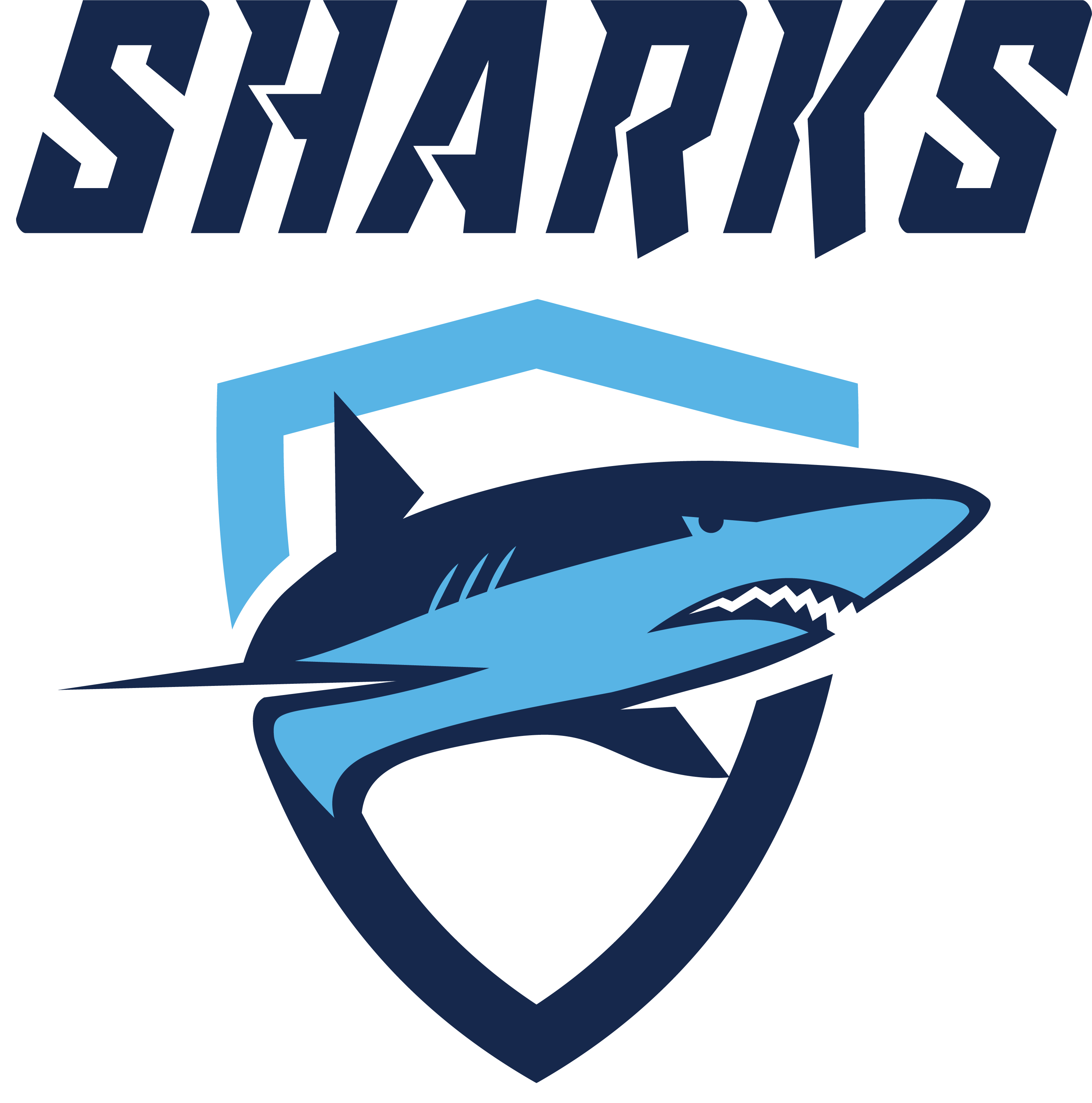 SHARKS Swim Club